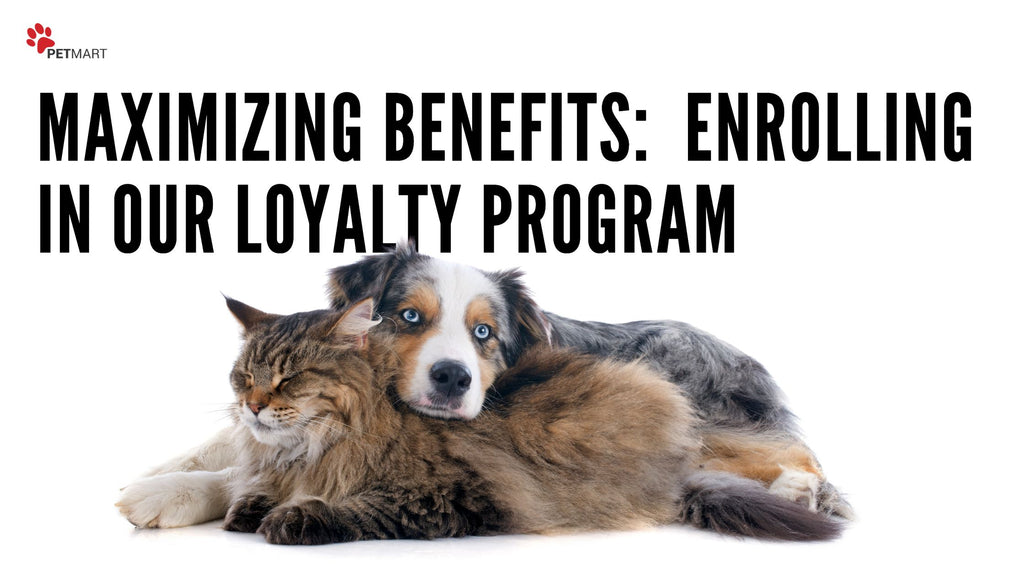 Maximizing Benefits: A Step By Step Guide to Enrolling in Our Loyalty Program