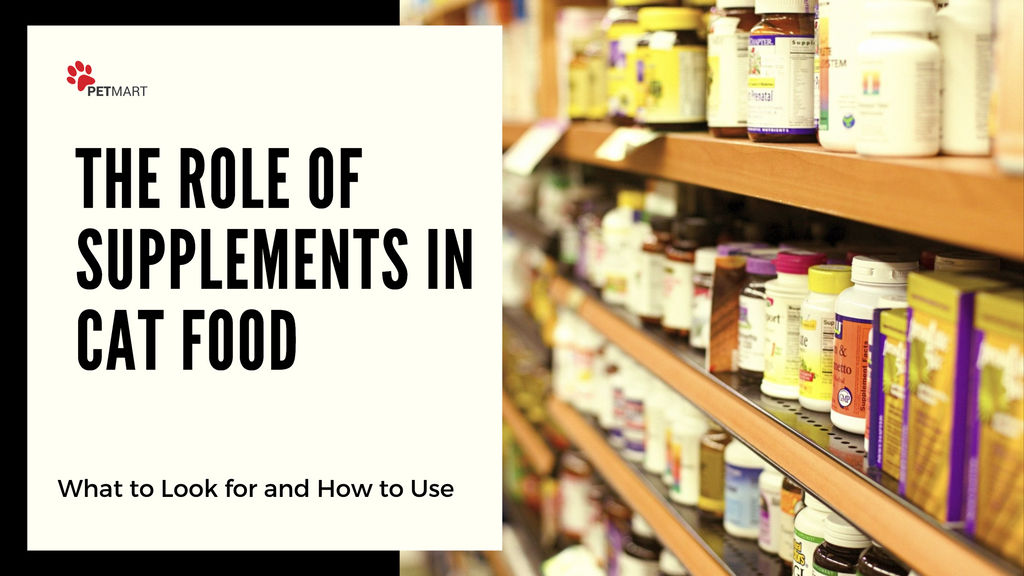 The Role of Supplements in Cat Food: What to Look for and How to Use Them Safely