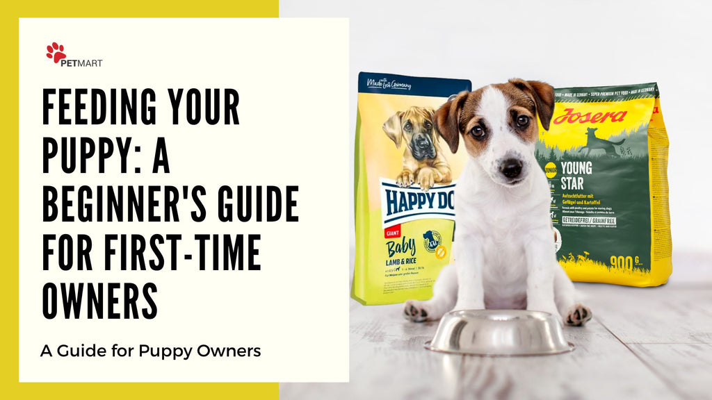 Feeding Your Puppy: A Beginner's Guide for First-Time Owners