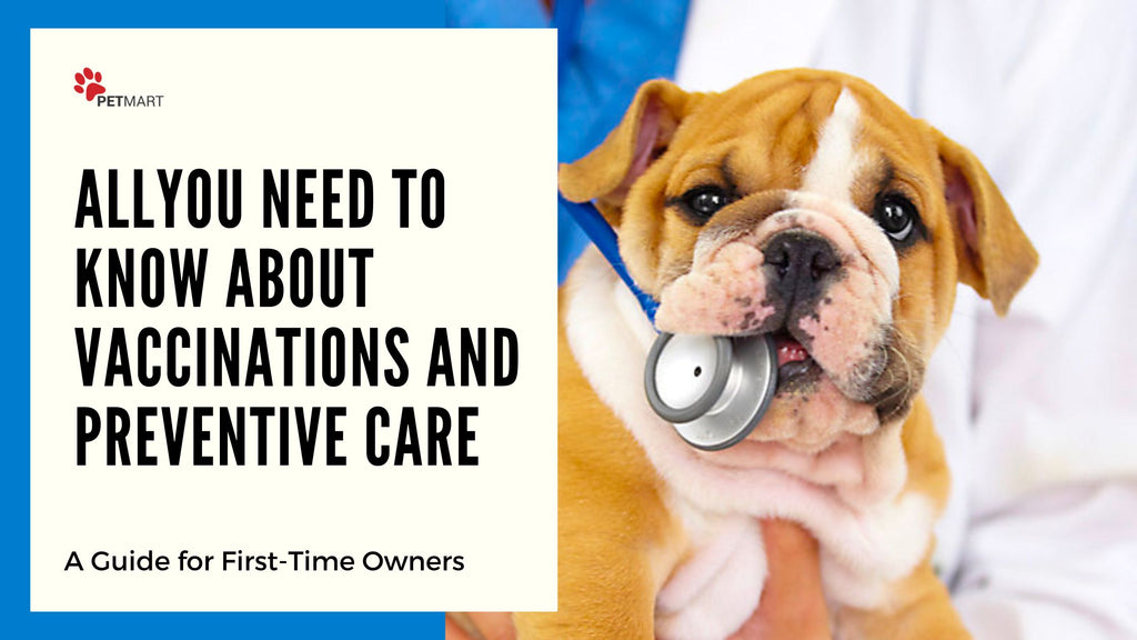 First-Time Puppy Owner? Here's What You Need to Know About Vaccinations and Preventive Care