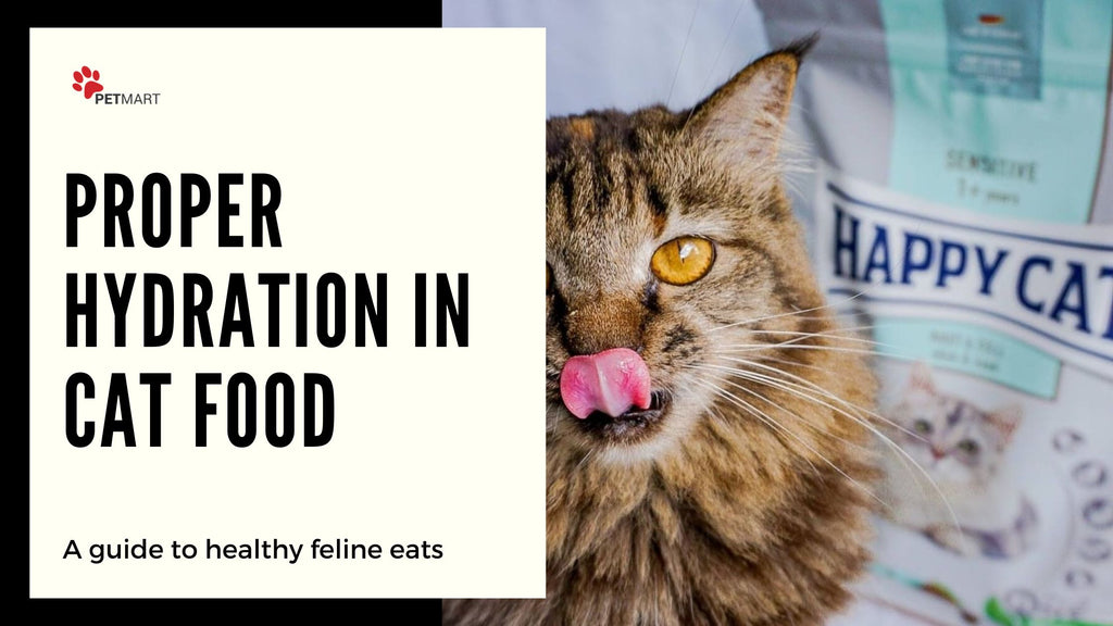 The Importance of Proper Hydration in Cat Food: How to Ensure Your Feline is Getting Enough Water