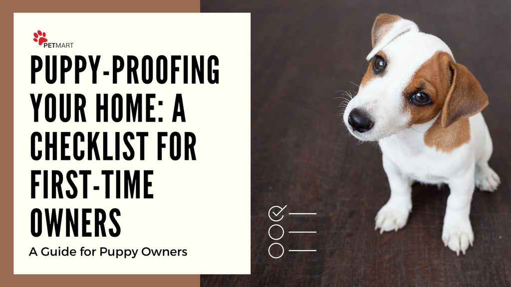 Puppy-Proofing Your Home: A Checklist for First-Time Owners – Petmart