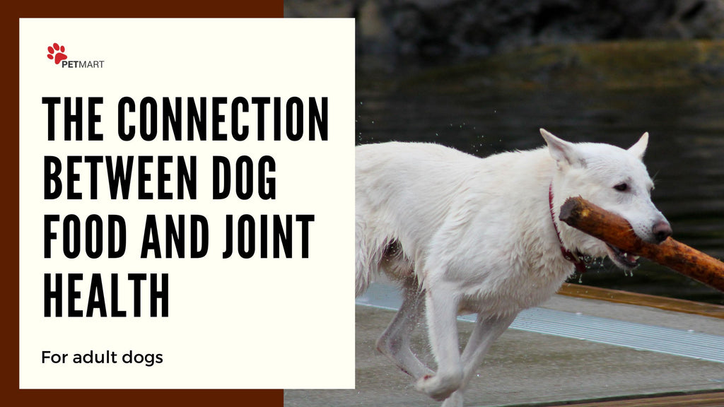 The Connection Between Dog Food and Joint Health