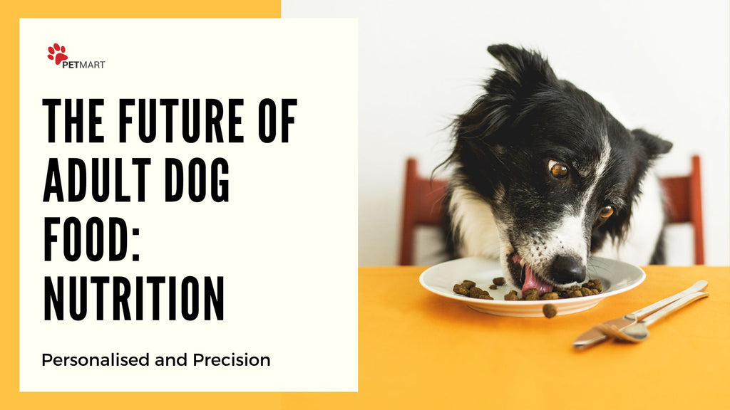 The Future of Adult Dog Food: Personalised and Precision Nutrition