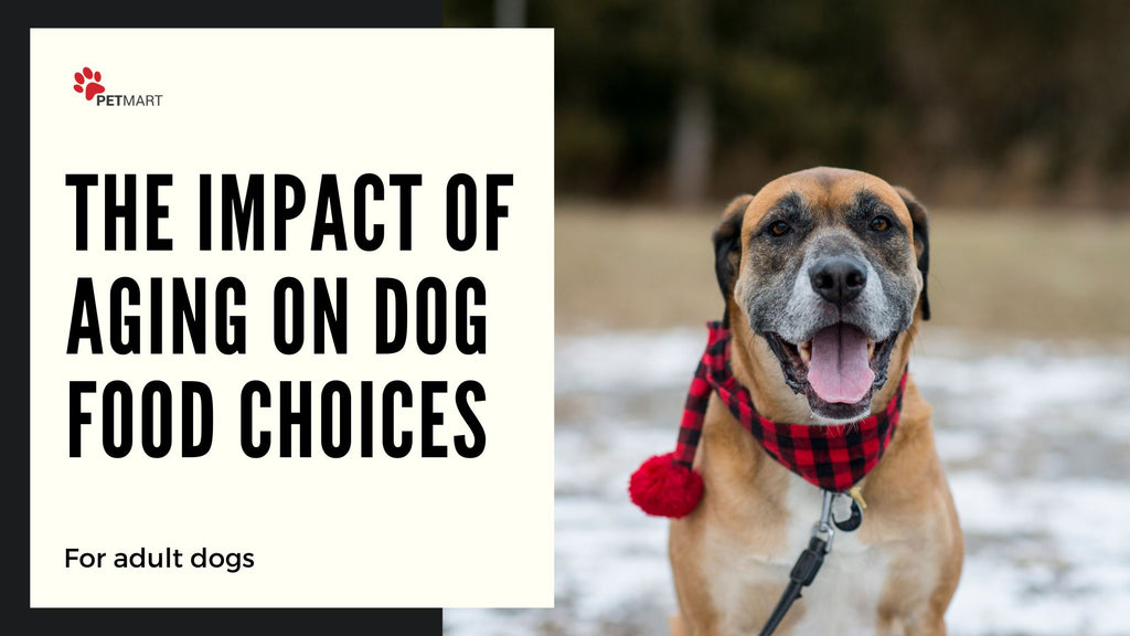 The Impact of Aging on Dog Food Choices