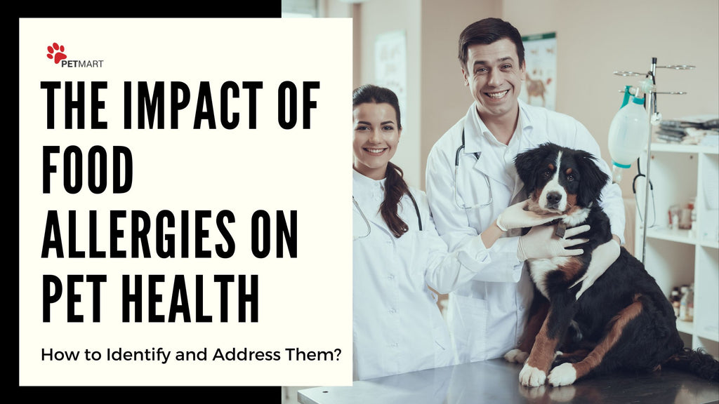 The Impact of Food Allergies on Pet Health: How to Identify and Address Them?