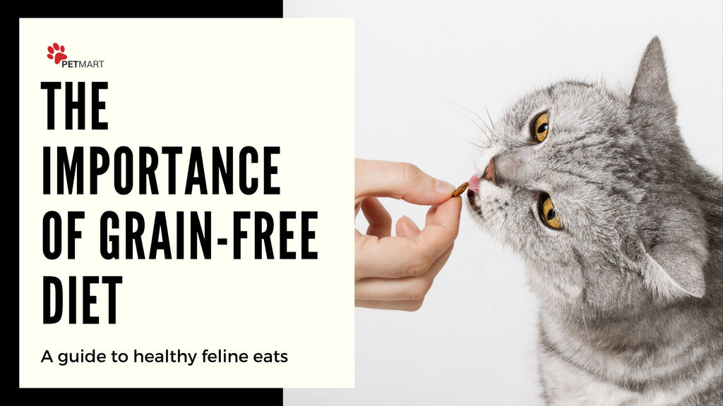 The Importance of Feeding Your Pet a Grain-Free Diet