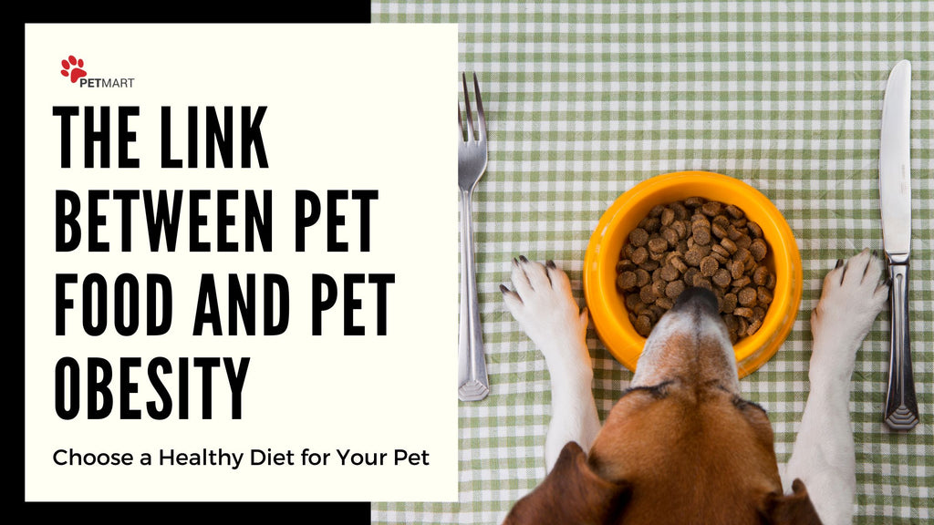 The Link Between Pet Food and Pet Obesity: How to Choose a Healthy Diet for Your Pet