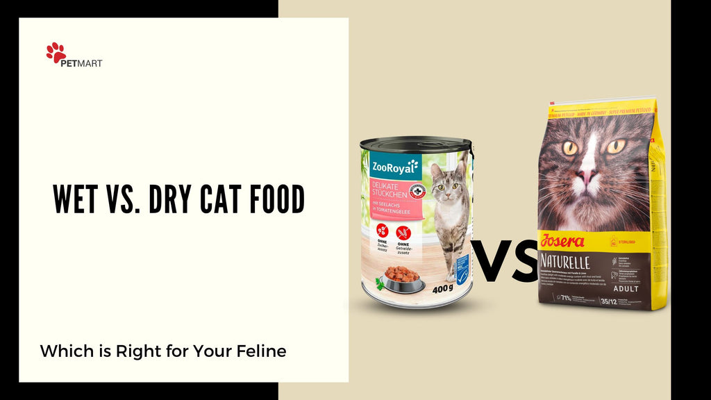 The Pros and Cons of Wet vs. Dry Cat Food: Which is Right for Your Feline Friend?