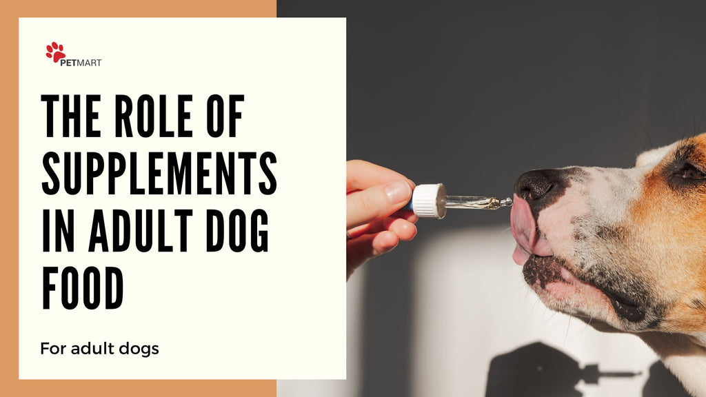 The Role of Supplements in Adult Dog Food