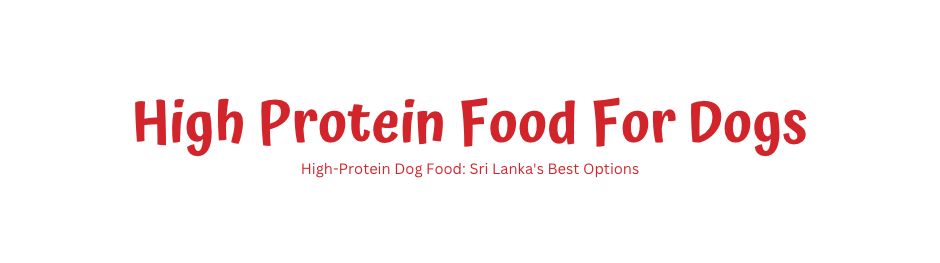 High protein outlet meat for dogs