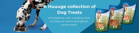 Dog Treats