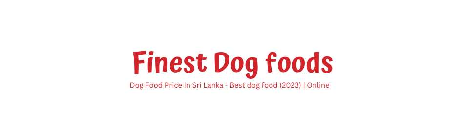 Best dog food for clearance the price