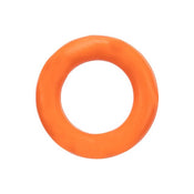 Ring Dog Toy