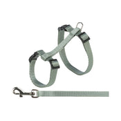 Harness with Lead