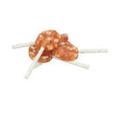 Denta Fun Chicken Cheese Lolly, 10 cm, 20g