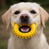 SpikeHalo™ – Extra Strong Natural Rubber Dog Toy
