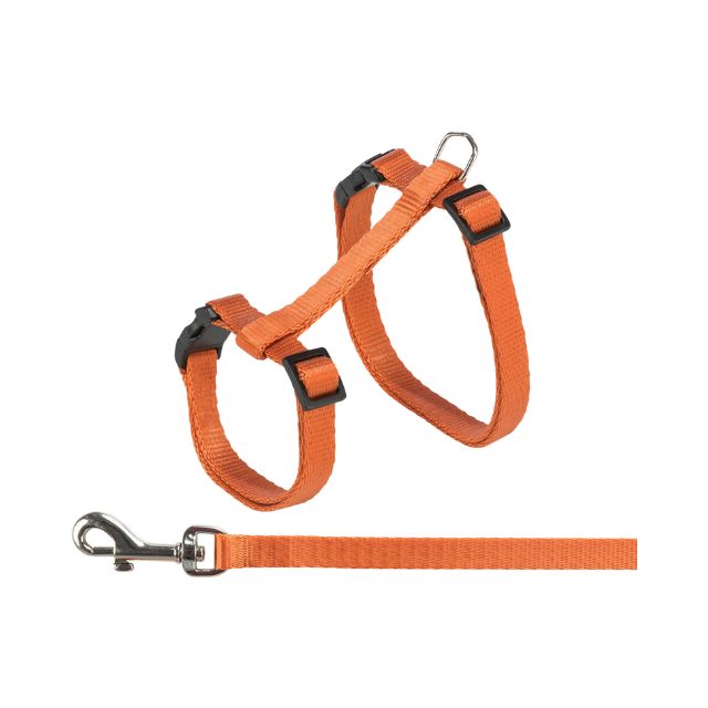 Harness with Lead