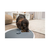 Automatic Food Dispenser TX4+1