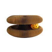 Magic Cat Scratching Board