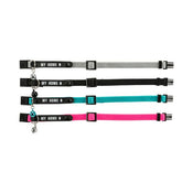 Cat Collar with Address Tag