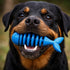 AquaBite™ – High-Performance Natural Rubber Chew Toy
