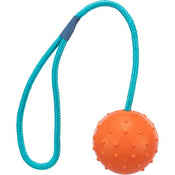 Trixie Ball on a Rope
