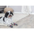 Dog Socks (Non Slip)