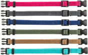 Junior Puppy Collars S-M