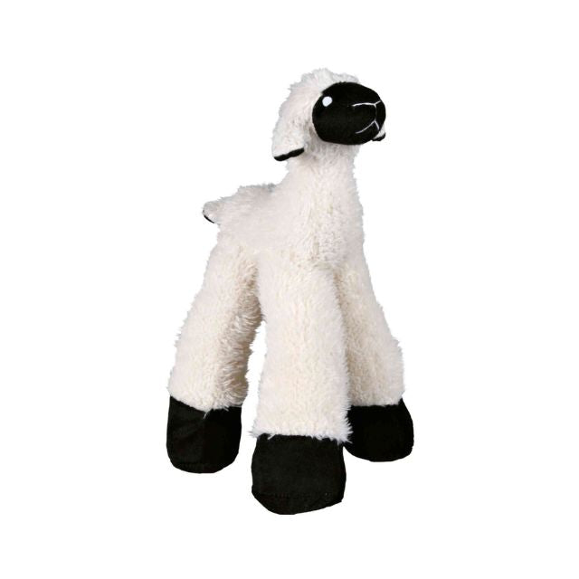 Sheep, long-legged