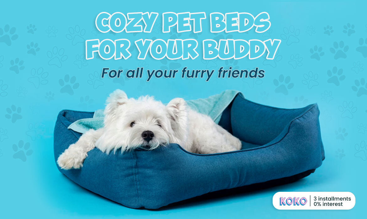 Dog beds