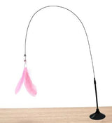 Cat Toy Suction Cup Detachable