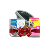 Christmas Hampers - Kitten