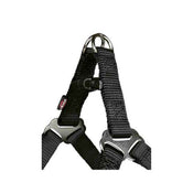 Dog harness in sri lanka