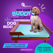 Wooden Dog Beds