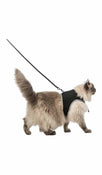 Soft Harness With Leash XXL Trixie 