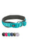 Trixie Premium Collar with Neoprene Padding, Extra Wide Dog accessories Trixie 
