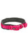 Trixie Premium Collar with Neoprene Padding, Extra Wide Dog accessories Trixie M–L: 42–48 cm/20 mm (Fuchsia/Graphite) 